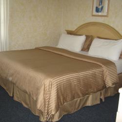 Guest Room Photo of Elysium Resort